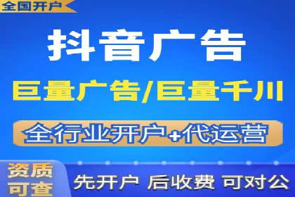 某行业巨头背后的SEM代运营服务公司